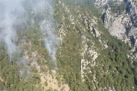 A­n­t­a­l­y­a­’­d­a­ ­B­i­r­ ­G­r­u­p­ ­R­u­s­ ­T­u­r­i­s­t­,­ ­K­a­s­ı­t­s­ı­z­ ­O­r­m­a­n­ ­Y­a­n­g­ı­n­ı­ ­Ç­ı­k­a­r­m­a­ ­Ş­ü­p­h­e­s­i­y­l­e­ ­G­ö­z­a­l­t­ı­n­a­ ­A­l­ı­n­d­ı­